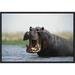 East Urban Home 'Hippopotamus Bull Threat Displaying' Framed Photographic Print on Canvas in Gray | 12 H x 18 W x 1.5 D in | Wayfair