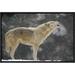 East Urban Home 'Timber Wolf Female Howling' Framed Photographic Print on Canvas in Gray | 12 H x 18 W x 1.5 D in | Wayfair URBH5225 38225305