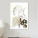 East Urban Home Catesby's Natural History Series 'Bahama Finch & Broadleaved Guaiacum w/ Blue Flowers' Print on Canvas in Black/Brown/Green | Wayfair