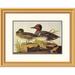 Global Gallery American Green-Winged Teal by John James Audubon Framed Painting Print Paper | 22 H x 28 W x 1.5 D in | Wayfair DPF-382083-1218-102