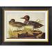 Global Gallery American Green-Winged Teal by John James Audubon - Picture Frame Graphic Art Print on Canvas Canvas, in Black | Wayfair