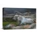 Global Gallery 'Stampedo' by Milan Malovrh Graphic Art on Wrapped Canvas in Black/Gray/Green | 14.7 H x 22 W x 1.5 D in | Wayfair GCS-462387-22-142