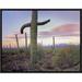 Global Gallery Saguaro Cactus Field w/ Sierrita Mountains in the Background, Saguaro National Park | 12 H x 16 W x 1.5 D in | Wayfair