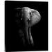 Global Gallery 'Elephant ' by Wildphotoart Photographic Print on Wrapped Canvas in Black/Gray | 16 H x 13 W x 1.5 D in | Wayfair GCS-466057-16-142