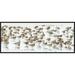 Global Gallery 'Bar-Tailed Godwit 19' by Kurien Yohannan Framed Photographic Print Canvas, Wood in Brown/White | 12 H x 30 W x 1.5 D in | Wayfair