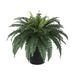 Latitude Run® 12" Artificial Fern Plant in Pot Silk/Plastic/Metal in Black | 25 H x 26 W x 26 D in | Wayfair 34AEDC66017044B685091D389B3EF4FC