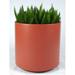 Latitude Run® Junita Plastic Pot Planter in Blue | 27" H x 72" W x 60" D | Wayfair 5BDBA35FA1024CAE834D22202010A428