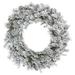 Steelside™ Winfield Flocked Kiana Pine Flocked Kiana Artificial Christmas Wreath in Green/White | 24 H x 24 W x 3 D in | Wayfair