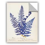 Gracie Oaks Botanical Fern IV Wall Decal Vinyl in Blue/Brown/Yellow | 10 H x 8 W in | Wayfair EBB375629B8E4C25A04B58A5D0E9CCA6
