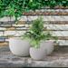 Latitude Run® Kante 3 Piece Lightweight Concrete Outdoor Round Planter, 13", 10.5" & 8" Tall Set Concrete in Black | 10 H x 16 W x 16 D in | Wayfair