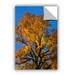 Charlton Home® Golden Tree Removable Wall Decal Vinyl | 8 H x 12 W in | Wayfair CFD6058658F04961B7A3B48ABF9E5872
