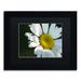 Ebern Designs Hidden in Shadows by Monica Mize - Picture Frame Photograph Print on Canvas Canvas | 0.5 D in | Wayfair