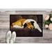 Tucker Murphy Pet™ Collie Non-Slip Outdoor Door Mat Synthetics in White | Rectangle 1'6" x 2'3" | Wayfair AMB1031MAT