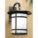 Red Barrel Studio® Arinze 1-Light Outdoor Wall Lantern in Brown | 27.25 H x 14.13 W x 20 D in | Wayfair 8983C602B03347D2B25869AA149F9DF0