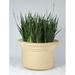 Ophelia & Co. Anso Plastic Pot Planter Fiberglass in Green/White | 28 H x 36 W x 28 D in | Wayfair 92D7628508F04F3DB0637C3447B1AE3F