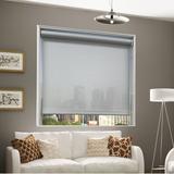 Ebern Designs Semi-Sheer Roller Shade Synthetic Fabrics | 89",108" | Wayfair DF9261D629234C1A9904804DE83A44CD