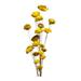 Primrue Ting Flower Mixed Stem Natural Fibers in Yellow | 27 H x 8 W x 7 D in | Wayfair A3195F7EB86F43CDB853B45D90AF0957