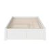 Winston Porter Rola Queen Solid Wood Platform Bed Wood in White | 16 H x 62.625 W x 82.5 D in | Wayfair B3980AADDBB2439E8C4BE821228C5268