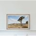 Foundry Select 'The Tree of Life' - Picture Frame Photograph Print on Paper in Blue/Brown | 12 H x 18 W x 1.5 D in | Wayfair