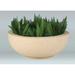 Rosecliff Heights Soundview Plastic Pot Planter Fiberglass in Gray | 14 H x 18 W x 14 D in | Wayfair 6059566E508C45C68905B7AB1CED09A7