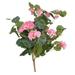 Primrue Artificial Ranunculus Stems, Bushes, & Sprays Silk in Pink | 22 H x 24 W x 24 D in | Wayfair 94DC6DE8149245B9AE835D200A75974A