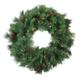 Northlight Seasonal Pre-Lit Royal Oregon Pine Artificial Christmas Wreath - Clear Lights Traditional Faux, in White | 36 H x 36 W x 6 D in | Wayfair
