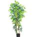 Beachcrest Home™ Artificial Bamboo Tree in Pot Silk/Plastic | 60 H x 31 W x 31 D in | Wayfair 8A3EFC8C58094D8796C47F32599A9A10