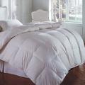 Arsuite Hidalgo All Season Down Comforter Goose Down, Cotton in White | 86 H x 68 W in | Wayfair 4481CB21C15E45F3BAA1DD1F0FFAADB7