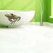 Gracie Oaks Frog Wall Decal Vinyl, Glass in Green/Black/Brown | 10 H x 10 W in | Wayfair 85093DCAF8D64C35B712F90EFE073176