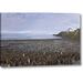 Millwood Pines 'South Georgia Isl, King Penguin Colony' Photographic Print on Wrapped Canvas in Blue/Brown | 10 H x 16 W x 1.5 D in | Wayfair