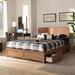 Latitude Run® B?etislav Low Profile Storage Platform Bed Wood in Brown | 58.3 H x 63.9 W x 84.4 D in | Wayfair 80D9E9EA84154B488D25CD45F3B703C6