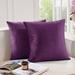 Everly Quinn Nicoletti Square Velvet Pillow Cover Velvet in Indigo | 26 H x 26 W x 1 D in | Wayfair 1EF82EBD08D64891BA0217777ADCEB22