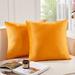 Everly Quinn Nicoletti Square Velvet Pillow Cover Velvet in Yellow | 18 H x 18 W x 1 D in | Wayfair 4DAE245850AC408999A8B7F922FAEA41