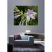 Wallhogs Batie Wet Flower Wall Decal Canvas/Fabric in Black/Gray/Green | 19 H x 24 W in | Wayfair batie16-t24