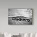 World Menagerie 'Stay in Line' Photographic Print on Wrapped Canvas in Black/White | 12 H x 19 W x 2 D in | Wayfair