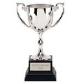 Trophies Plus Medals Recognition Silver Nickel Plated Presentation Cup On A Heavyweight Base 21cm (8 1/4") FREE ENGRAVING