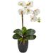 Dakota Fields Phalaenopsis Orchid Floral Arrangement in Vase Polyester/Faux Silk/Plastic/Fabric in White | 22.5 H x 15 W x 15 D in | Wayfair