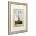 Trademark Fine Art 'European Vacation II' Framed Graphic Art Canvas in Green | 20 H x 16 W x 0.5 D in | Wayfair ALI4497-W1620MF