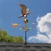 Millwood Pines Danise Cottage Eagle Weathervane Metal in Brown | 32 H x 16 W x 21 D in | Wayfair DEC47044606B4D76814B0C7B07DAE263