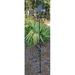 Millwood Pines Kelesia Garden Mount Owl Weathervane Metal in Black | 68 H x 18 W x 13 D in | Wayfair 61287F4748054C5180E7D460A8900208