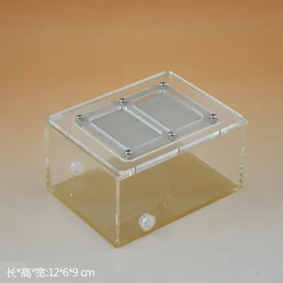 Nid de fourmi en acrylique avec couvercle boîte d'alimentation boîte d'araignée boîte de reptile
