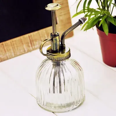 Arrosoir en verre rétro bouilloire d'arrosage outils de jardinage douche # CW