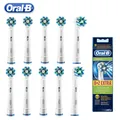 Tête de brosse à dents de remplacement Oral B pour Oral B brosse à dents électrique adulte Oral B