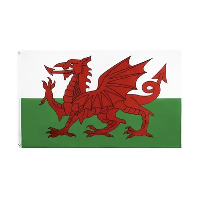 JOHNIN-Figurine Dragon Rouge Pays de Galles 90x150cm sensation Cymru