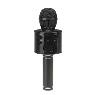 Microphone sans fil Bluetooth professionnel tout neuf haut-parleur déterminer le microphone