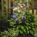 August Grove® Fernville Arum Lilies by Neil Drury 2-Sided Garden Flag, Polyester in Green | 15 H x 11 W in | Wayfair