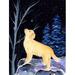 Red Barrel Studio® Starry Night Golden Retriever 2-Sided Polyester 40 x 28 in. House Flag in Black | 40 H x 28 W in | Wayfair