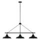 Capital Lighting Fixture Company Jones 48 Inch 3 Light Linear Suspension Light - 842131MB