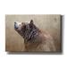 Loon Peak® Big Bear by Karen Smith - Wrapped Canvas Photograph Print Canvas in Brown | 40 H x 60 W x 1.5 D in | Wayfair