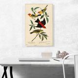 ARTCANVAS Louisiana Scarlet Tanager by James Audubon - Wrapped Canvas Painting Print Canvas in Black/Green/Yellow | 26 H x 18 W x 0.75 D in | Wayfair